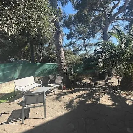 New Rdc De 60 M2 Proche Apartman *